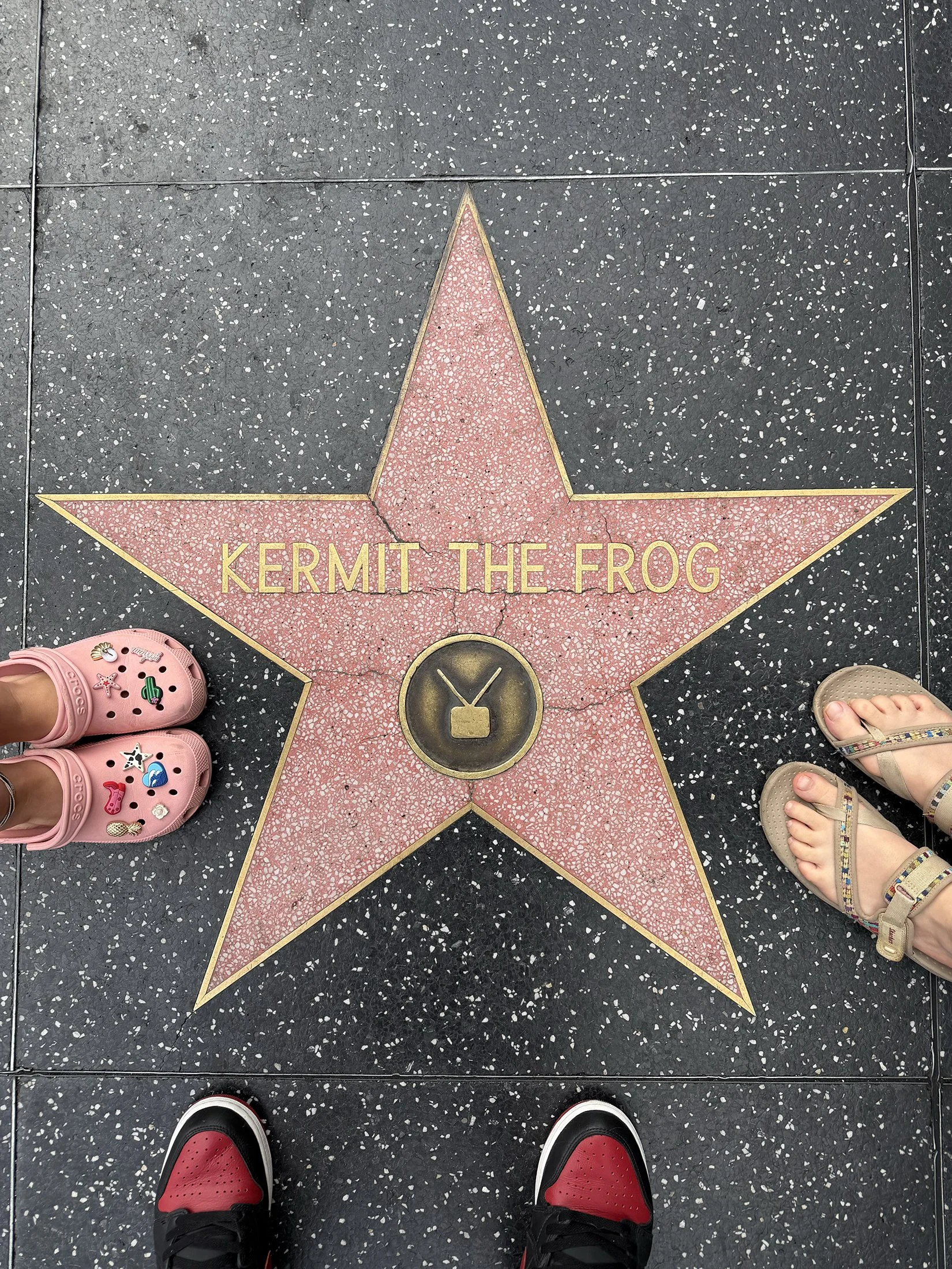 star_kermit.jpg