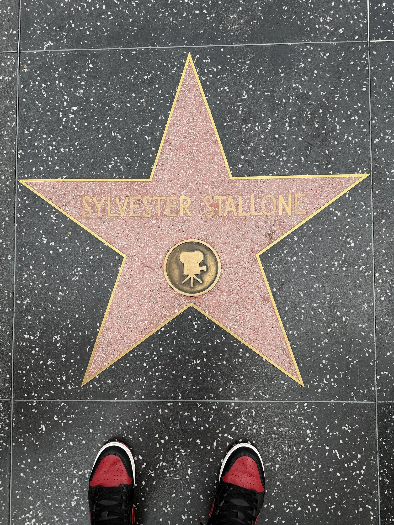 star_stallone.jpg