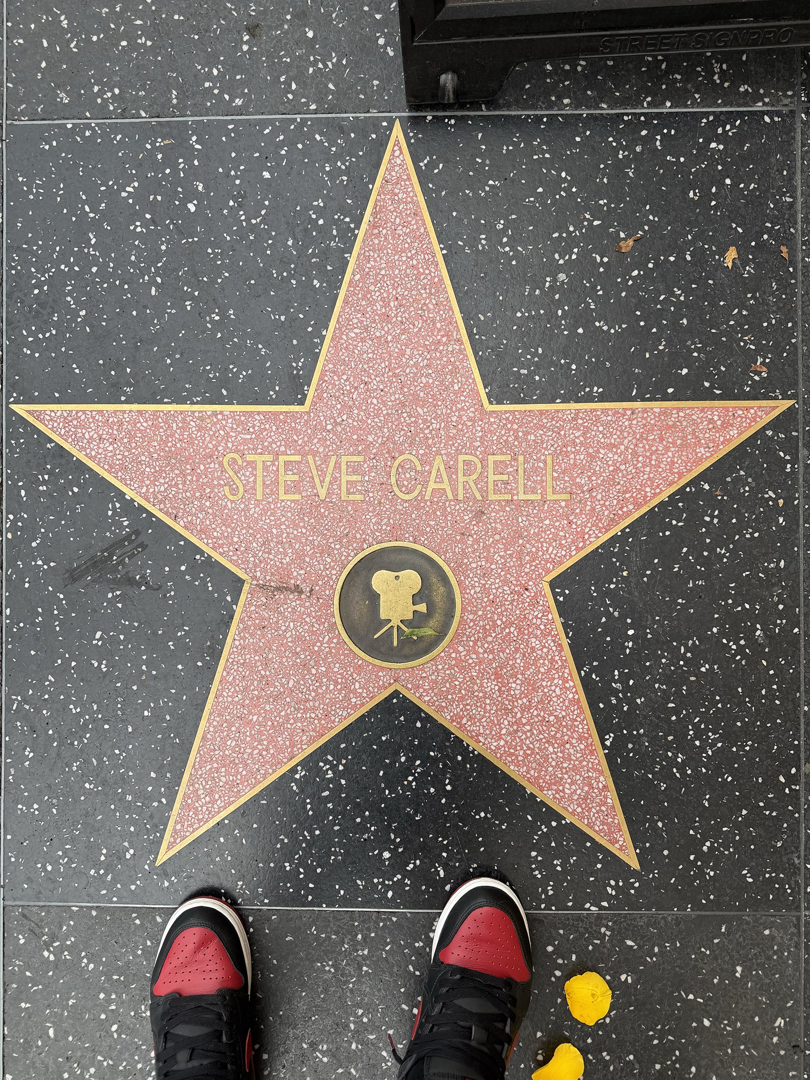 star_steve_carell.jpg