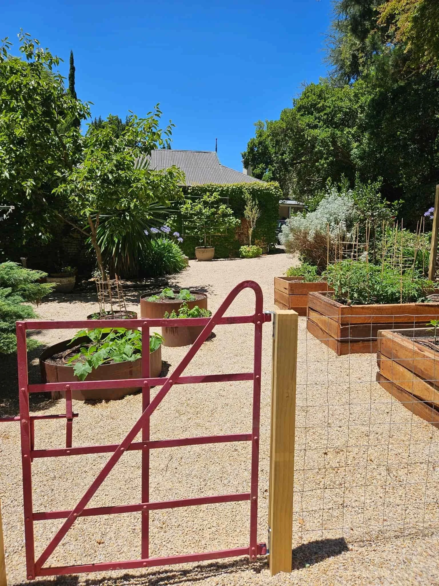 Residential raised garden beds, retainer walls and Adelaide hills gardening 