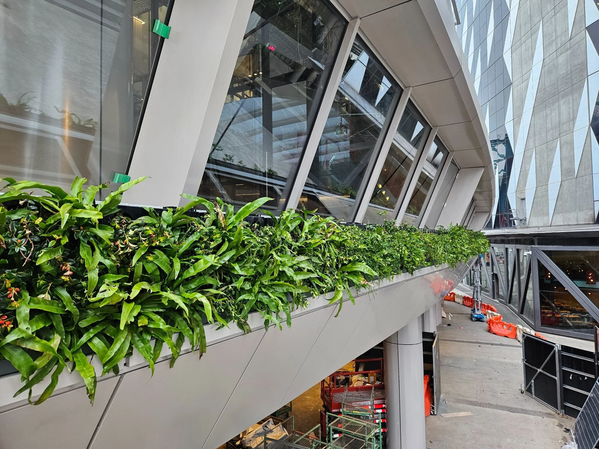 Custom steel landscape structure with elevated planting and integrated greenery in urban Adelaide project.