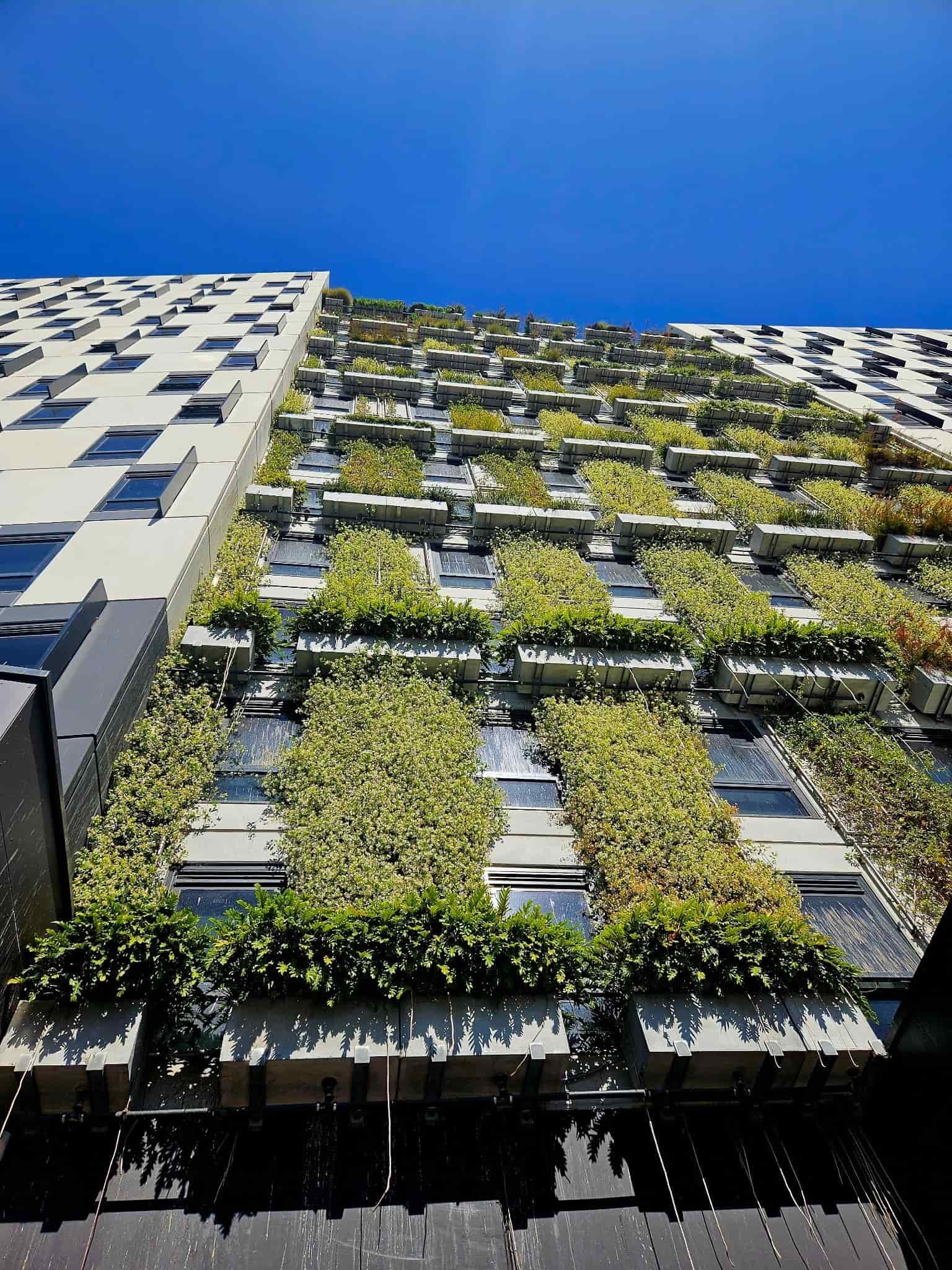 Green Wall Adelaide and commercial landscape construction
