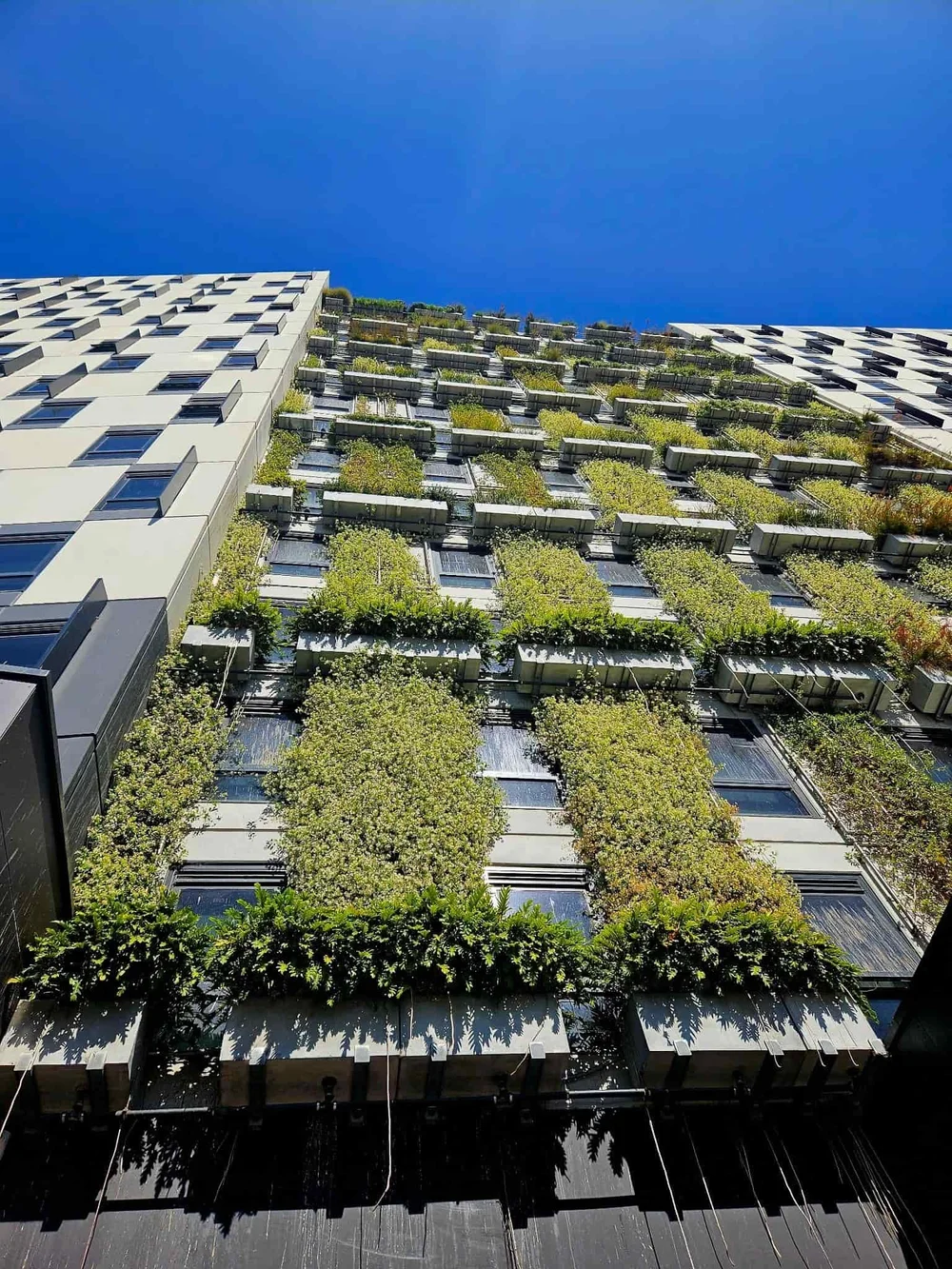 Commercial & Residential Landscaping Adelaide | Green City Scapes