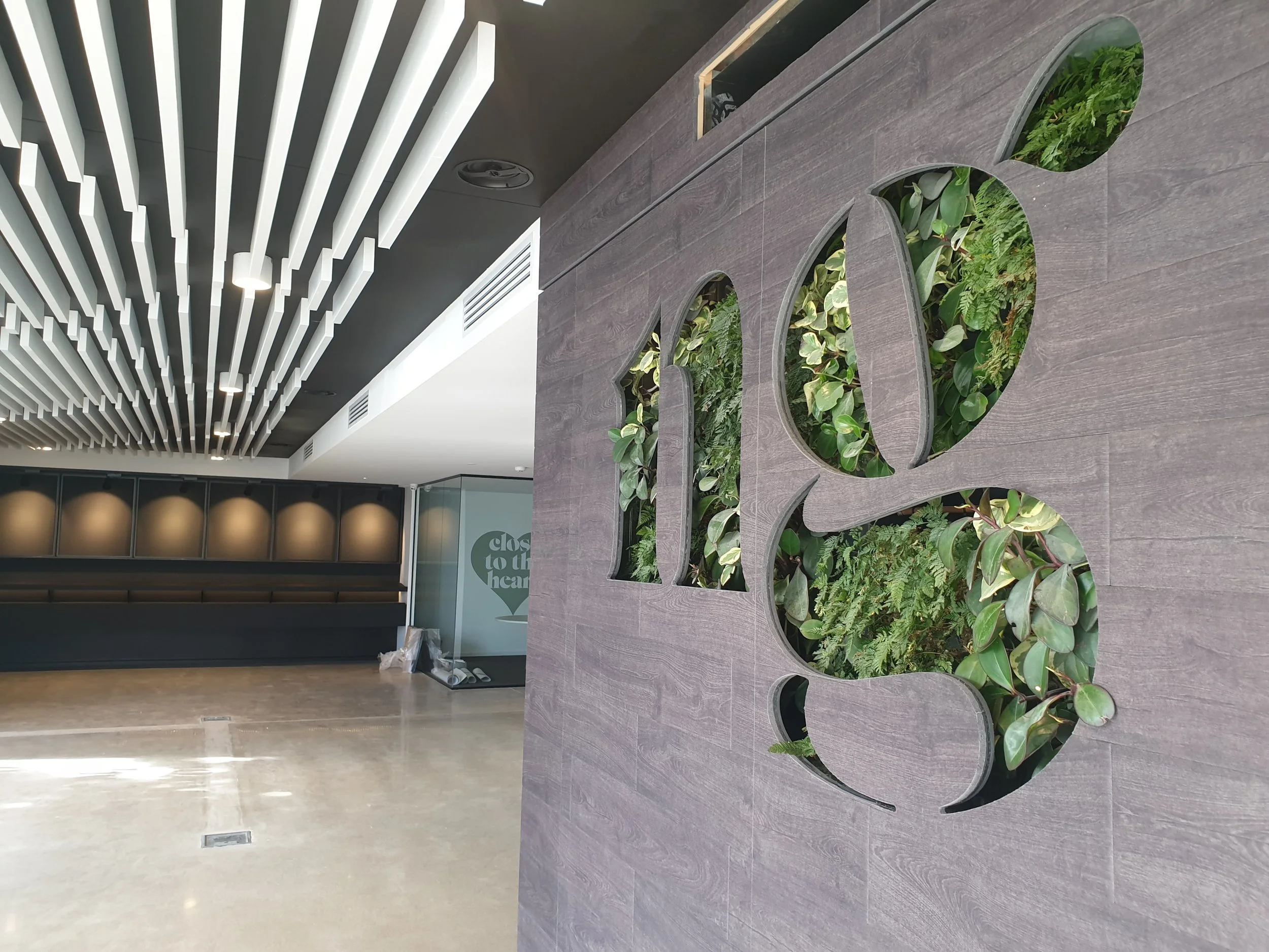 Commercial landscaping installation in Adelaide featuring a green wall and architectural planting design