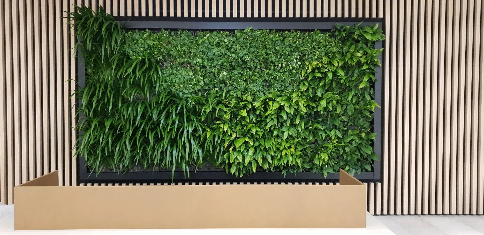 Vertical green wall installation with mixed planting in modern architectural setting in Adelaide.