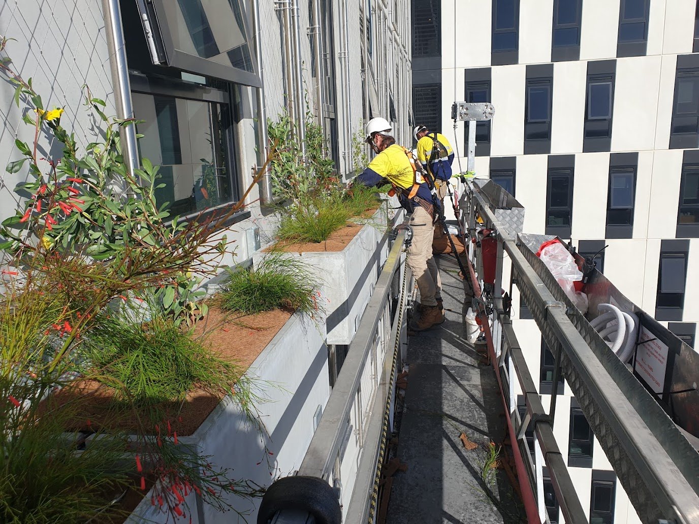 Commercial landscaping projects across South Australia and Adelaide. Green walls, facades and all sofscaping
