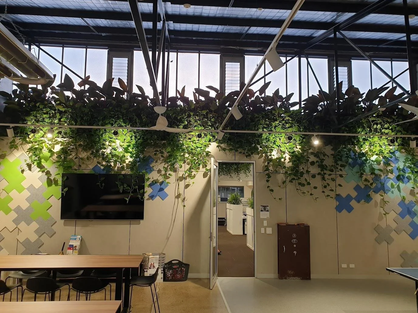 Dense indoor vertical green wall installation with mixed foliage planting.