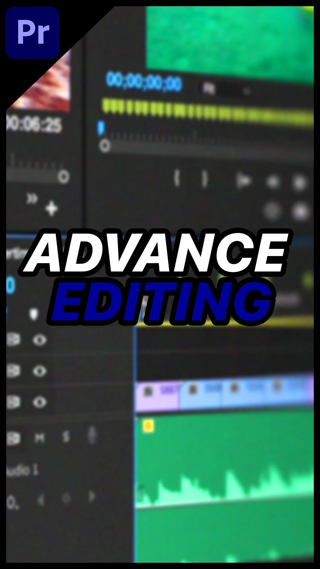 Advance Editing Service