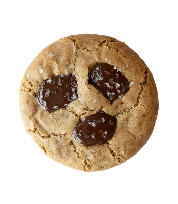 A chocolate chunk cookie.