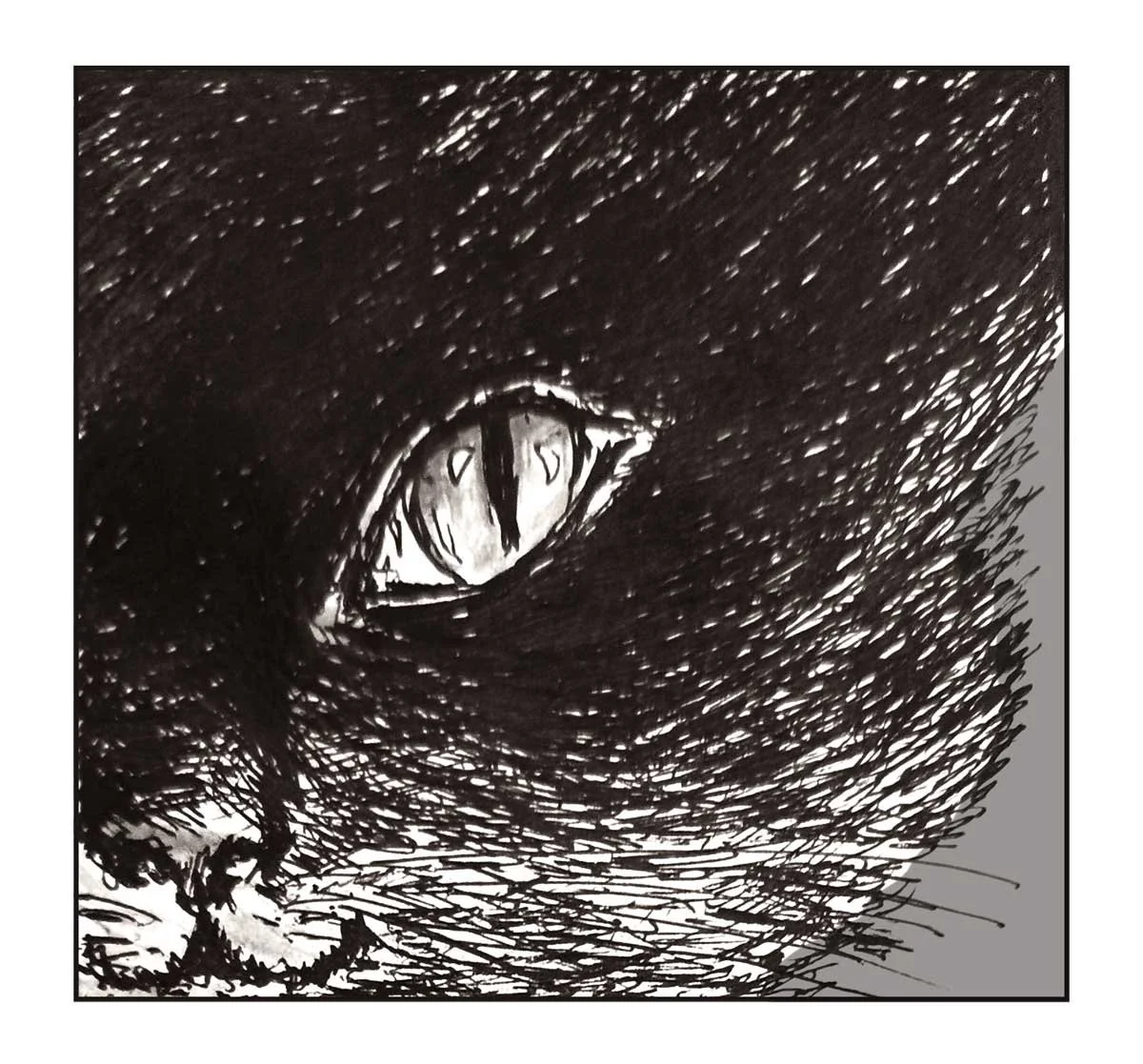 A black and white drawing of a large, menacing cat eye surrounded by dense, textured fur.