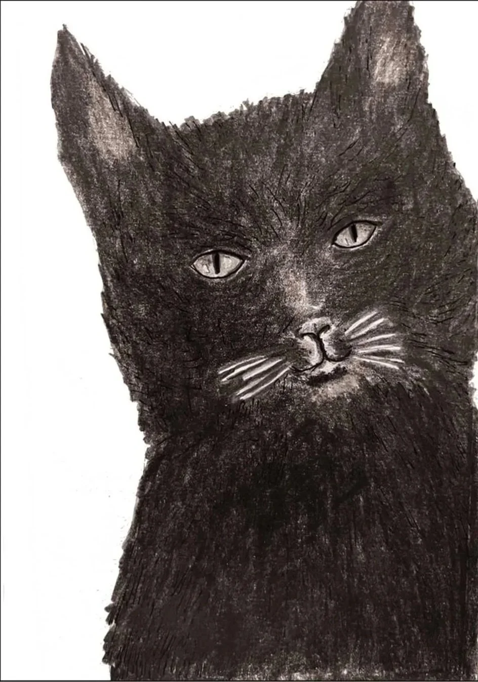 A drawing of a black cat with detailed fur and large almond-shaped eyes, with a white background.