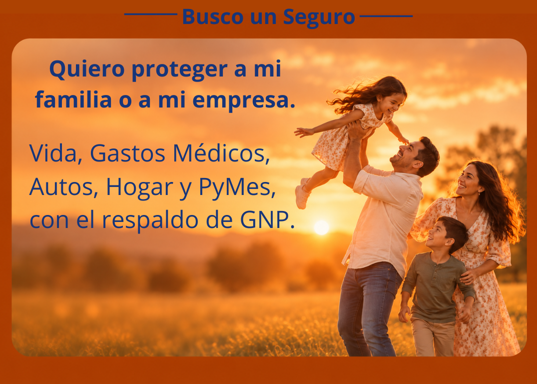 Busco un seguro conecta np