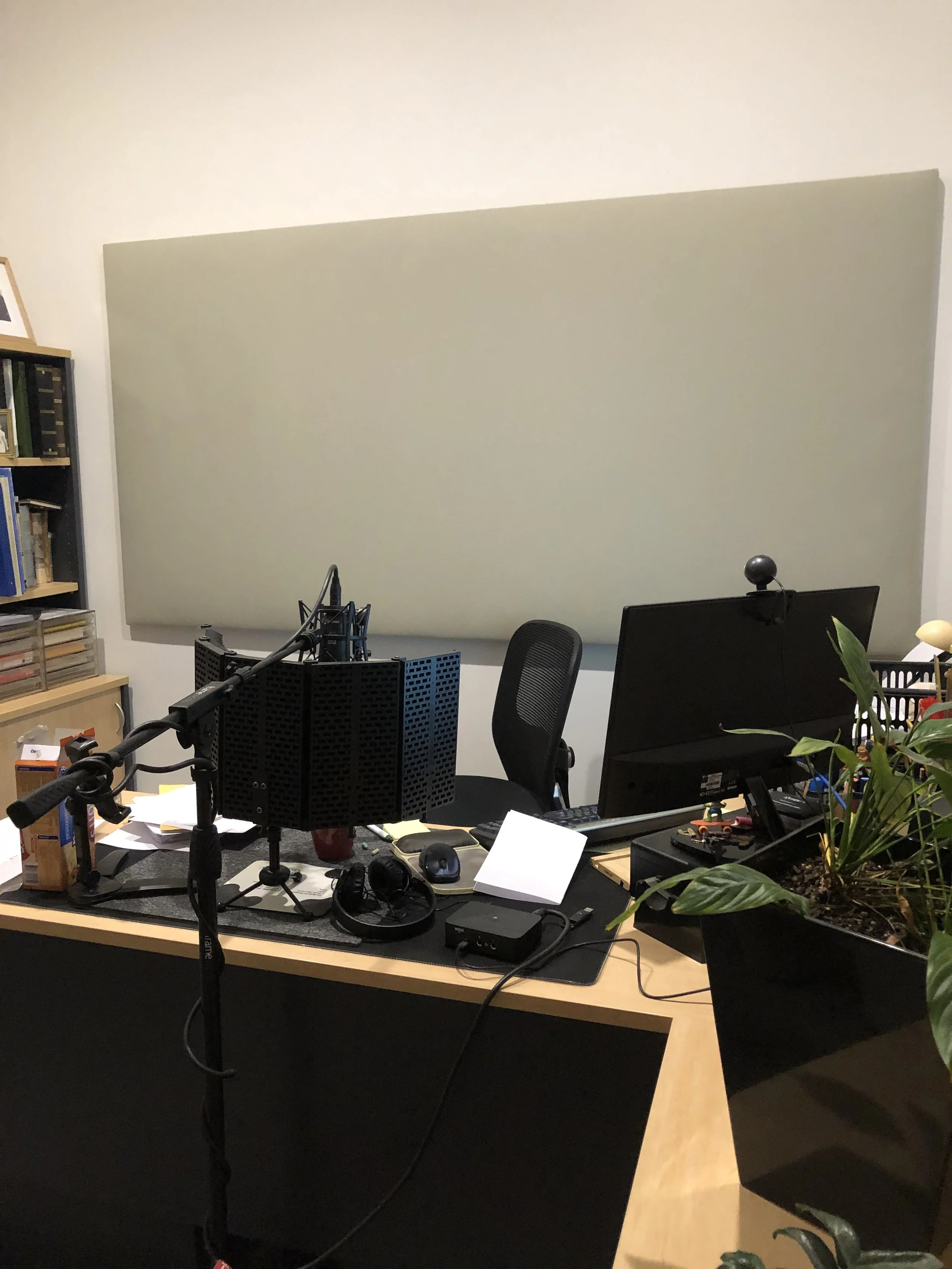 A recording or podcasting studio with a large table, a microphone on a boom arm, headphones, computer monitor, keyboard, and some plants.