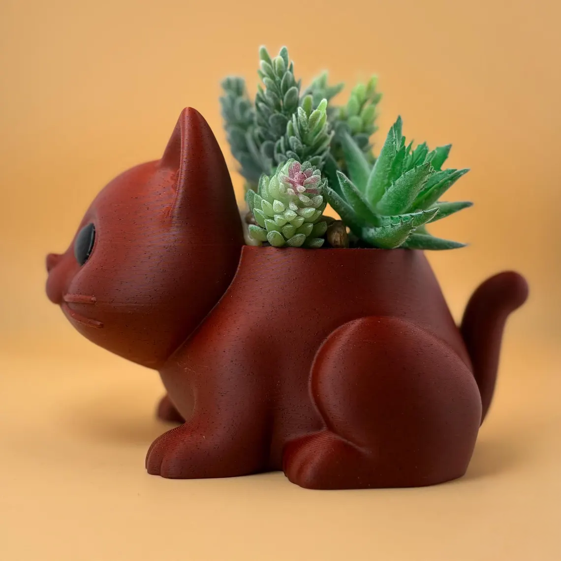 cat plant 3.png