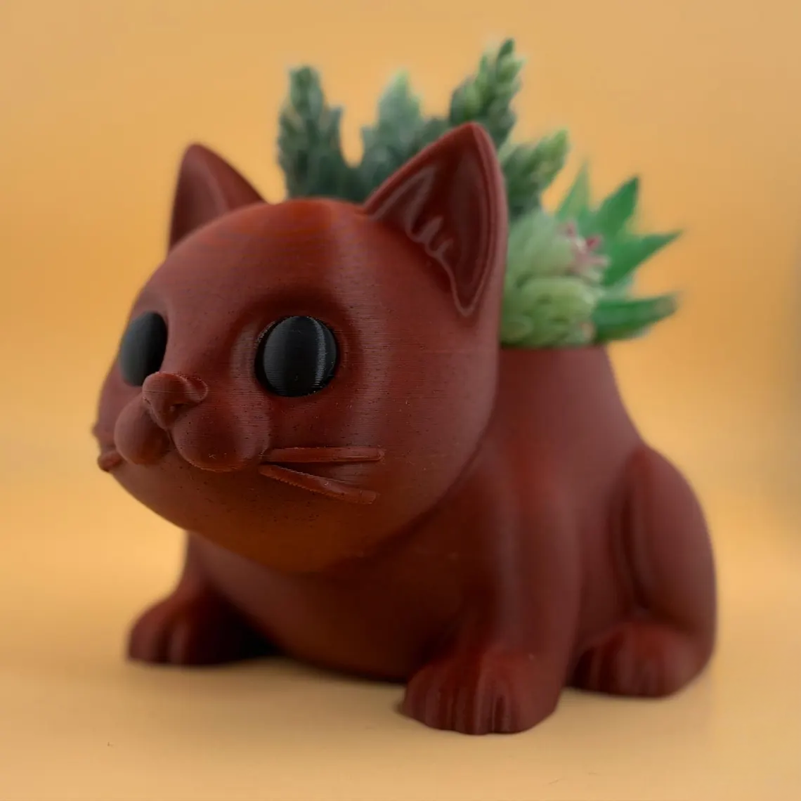 cat plant 5.png