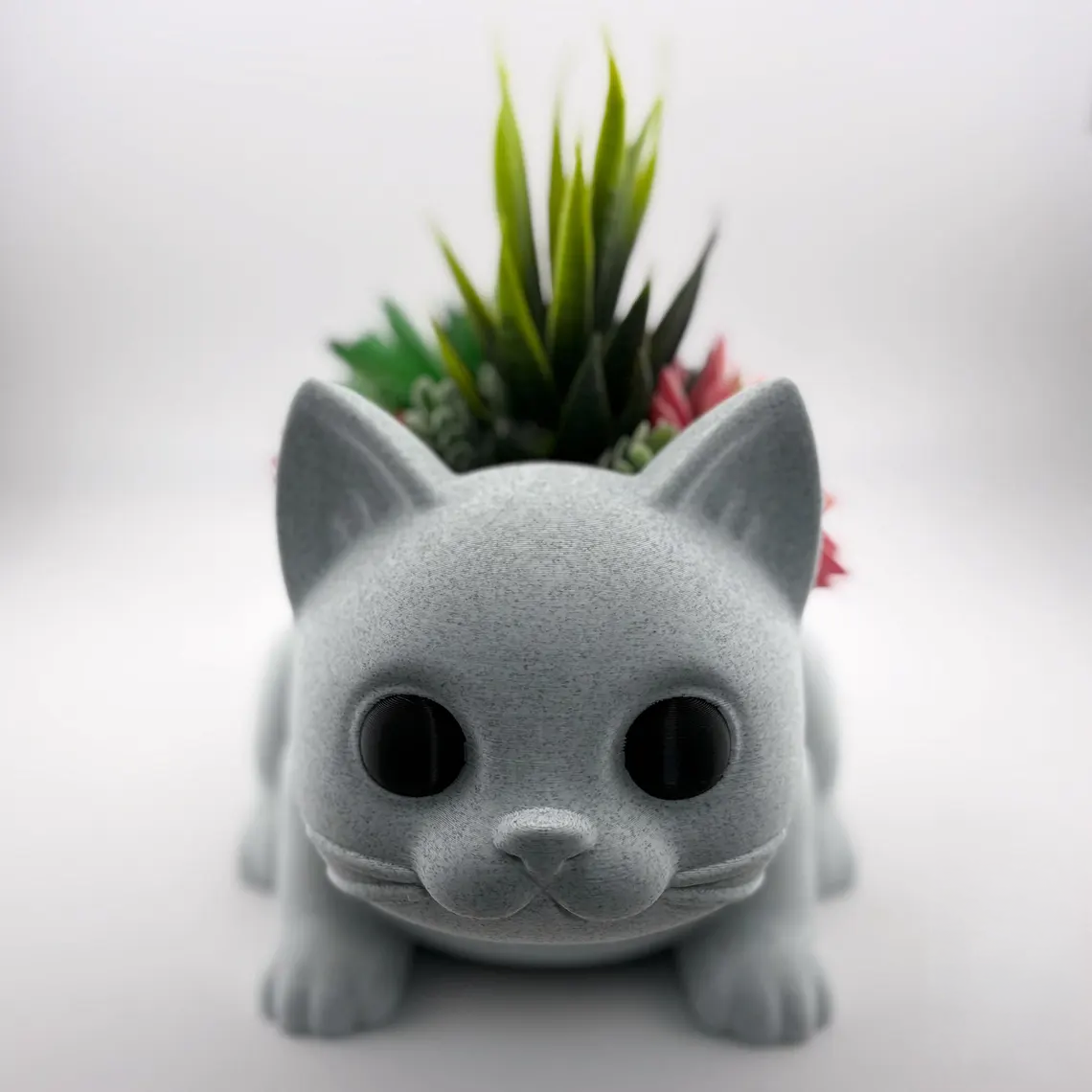 cat plant 6.png