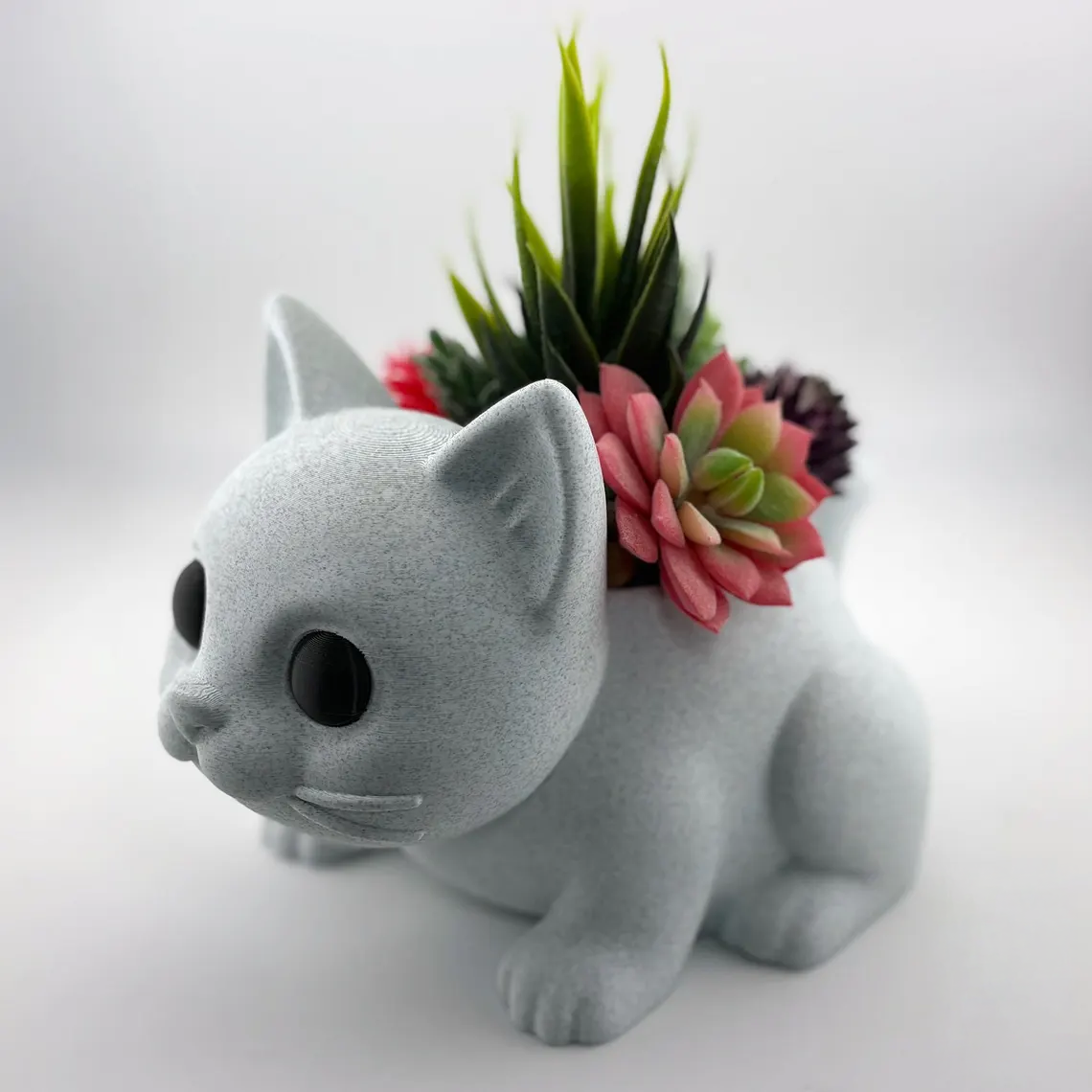 cat plant 7.png