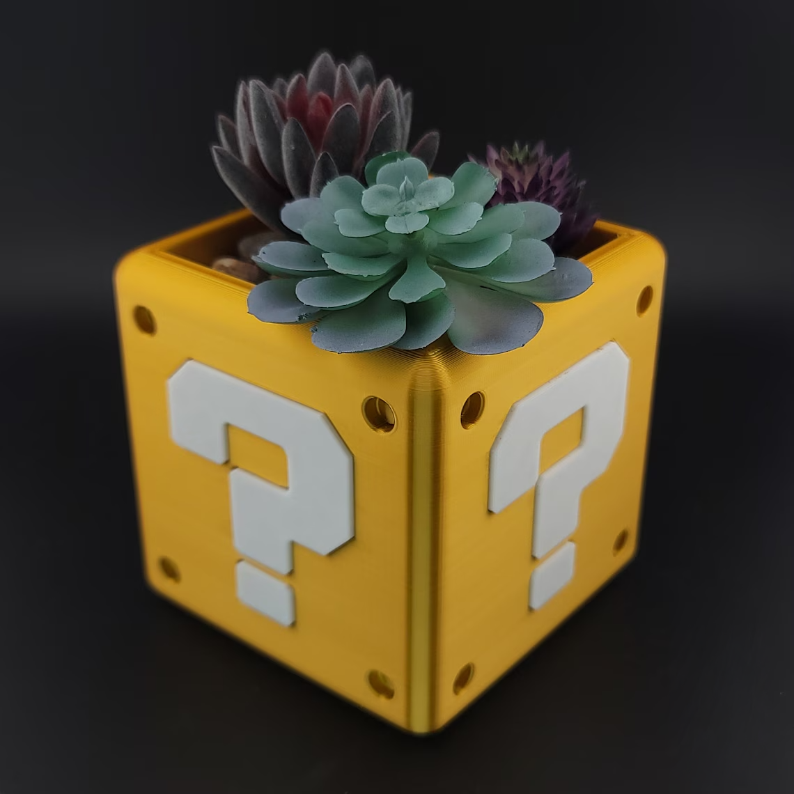 QB plant 2.png