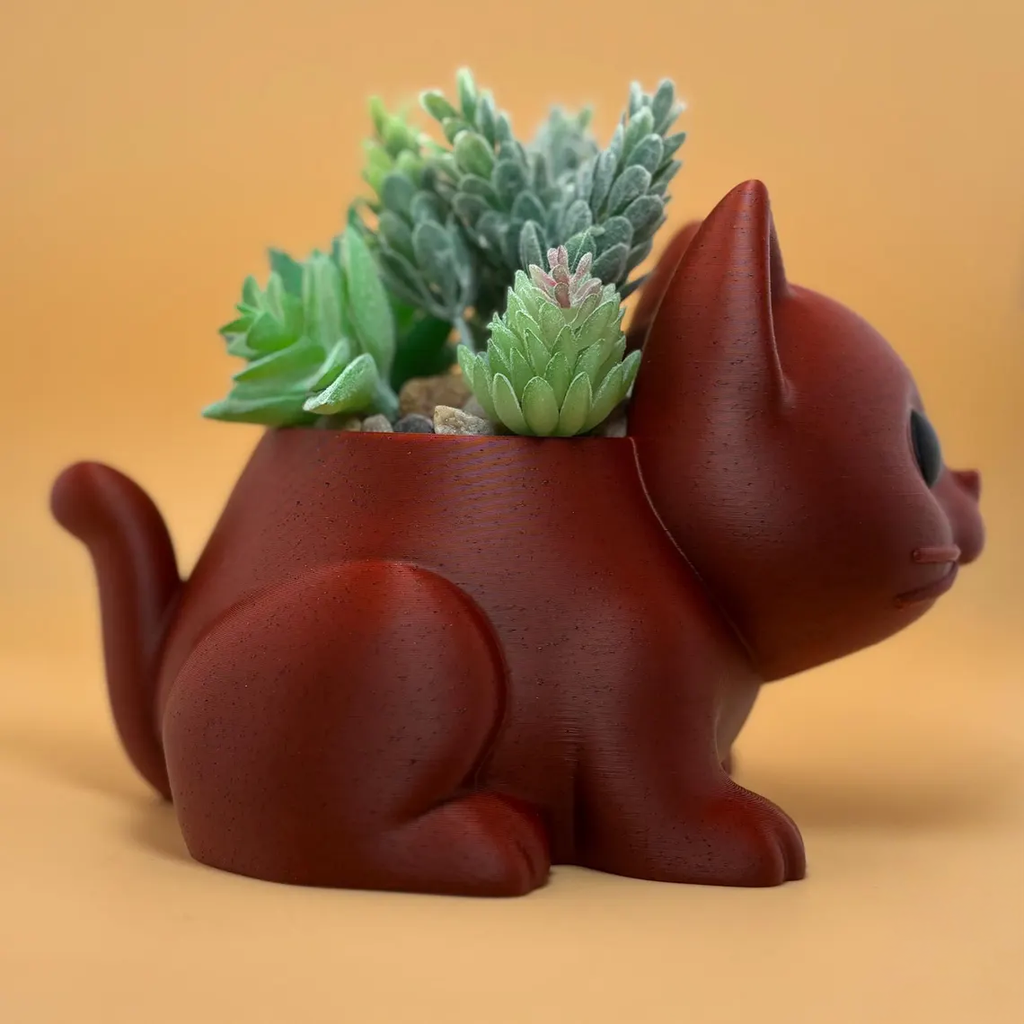 cat plant 4.png