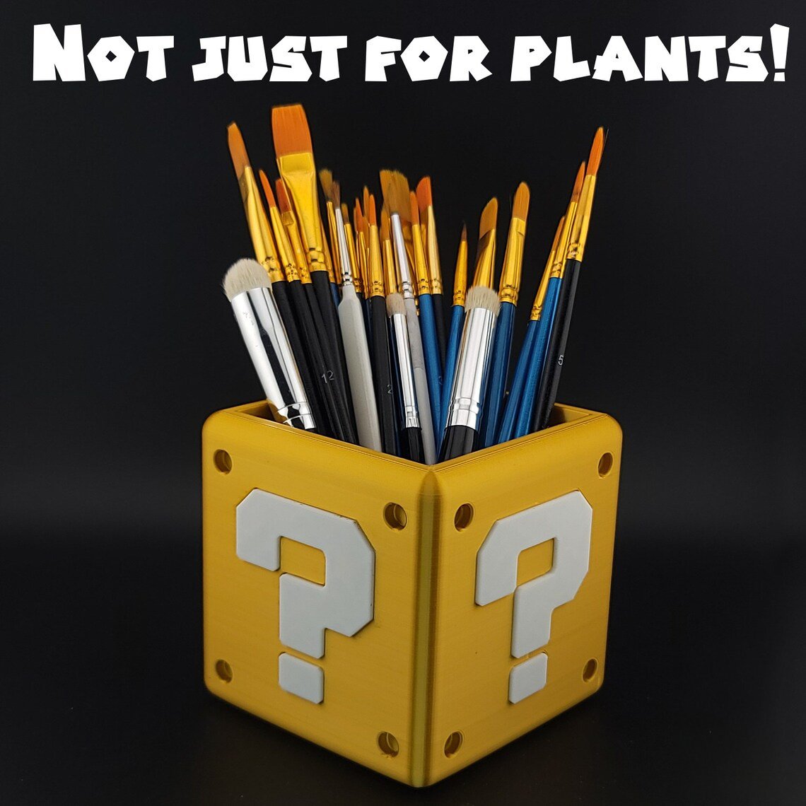 QB plant 4.png
