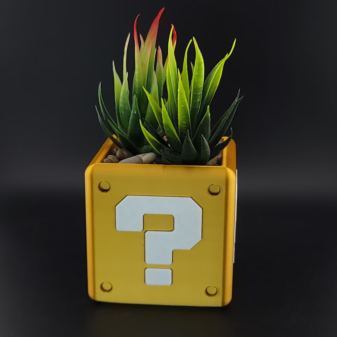 QB plant 1.png