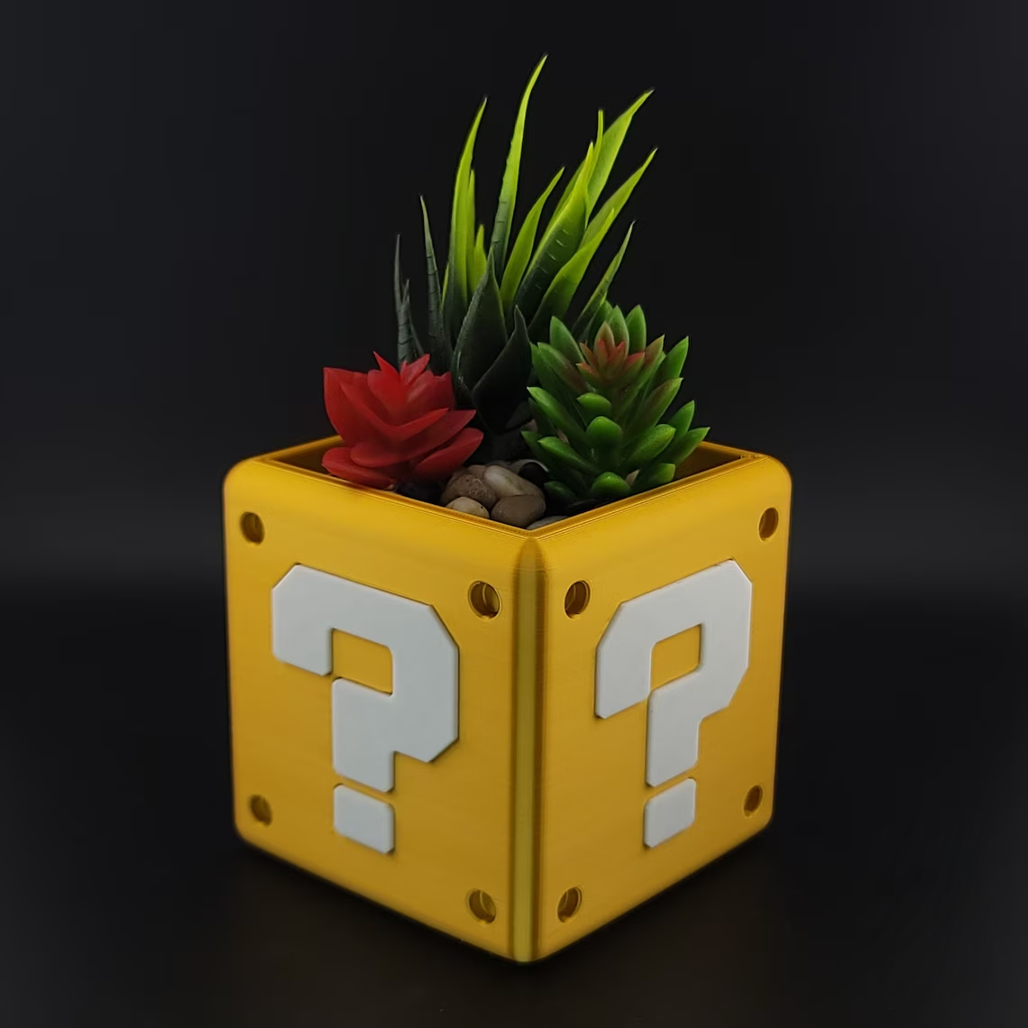 QB plant 3.png