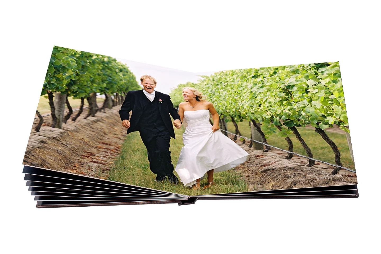 wedding photos in wedding book