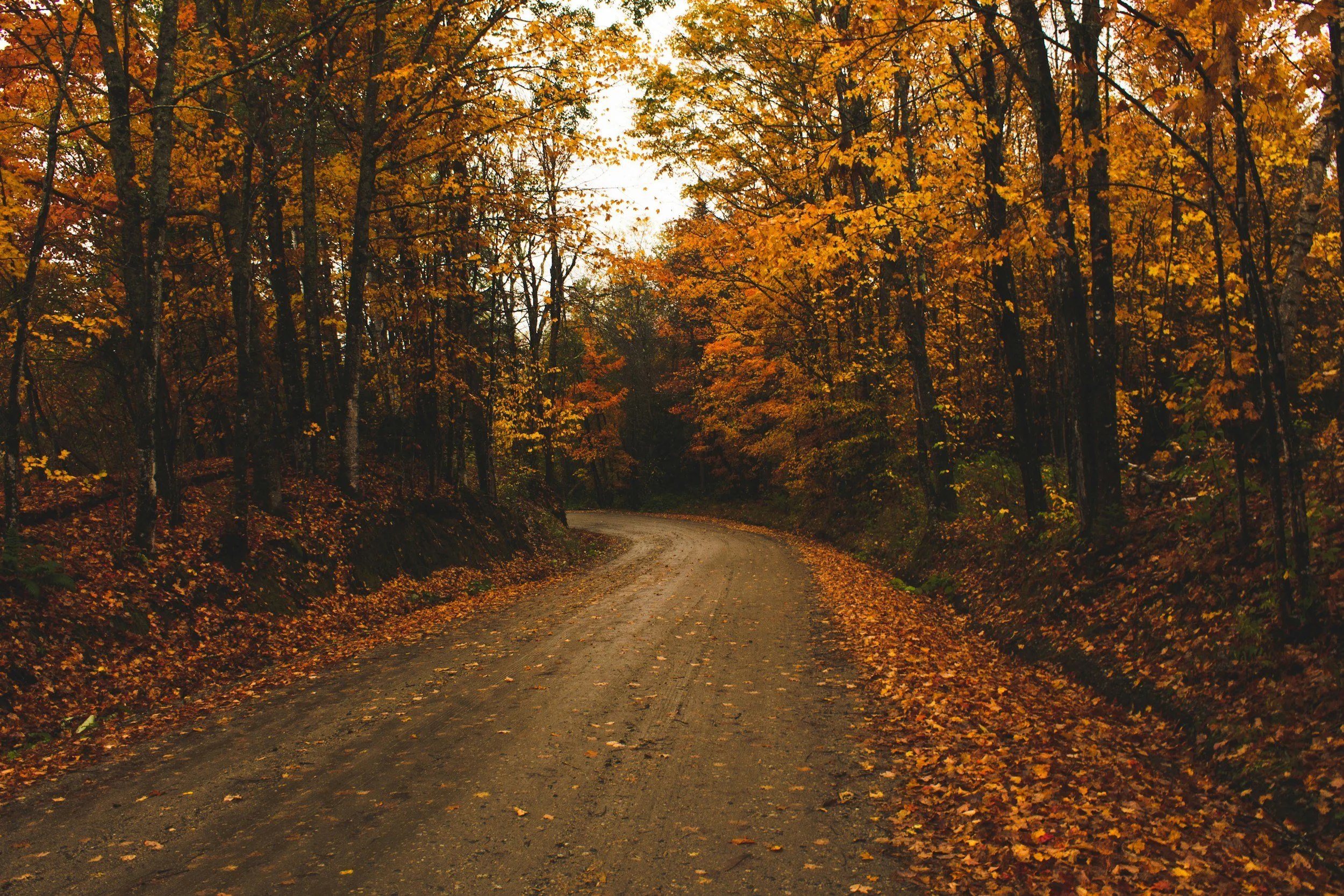 Image of a Vermont dirt road in the fall, with autumn leaves and moisture signaling winter is coming.