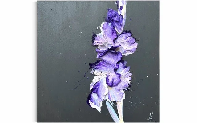 'Midnight iris'