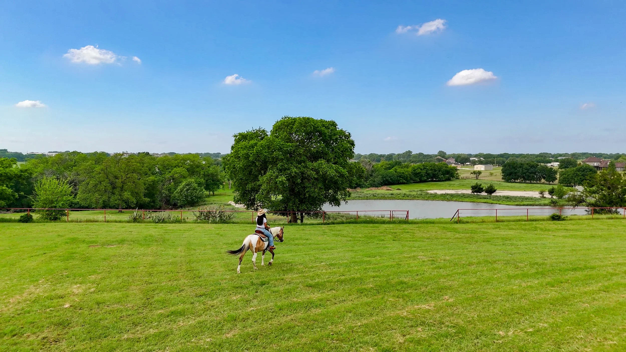 Person riding a white horse on a grassy field with trees, a pond, and a blue sky with a few clouds in the background.