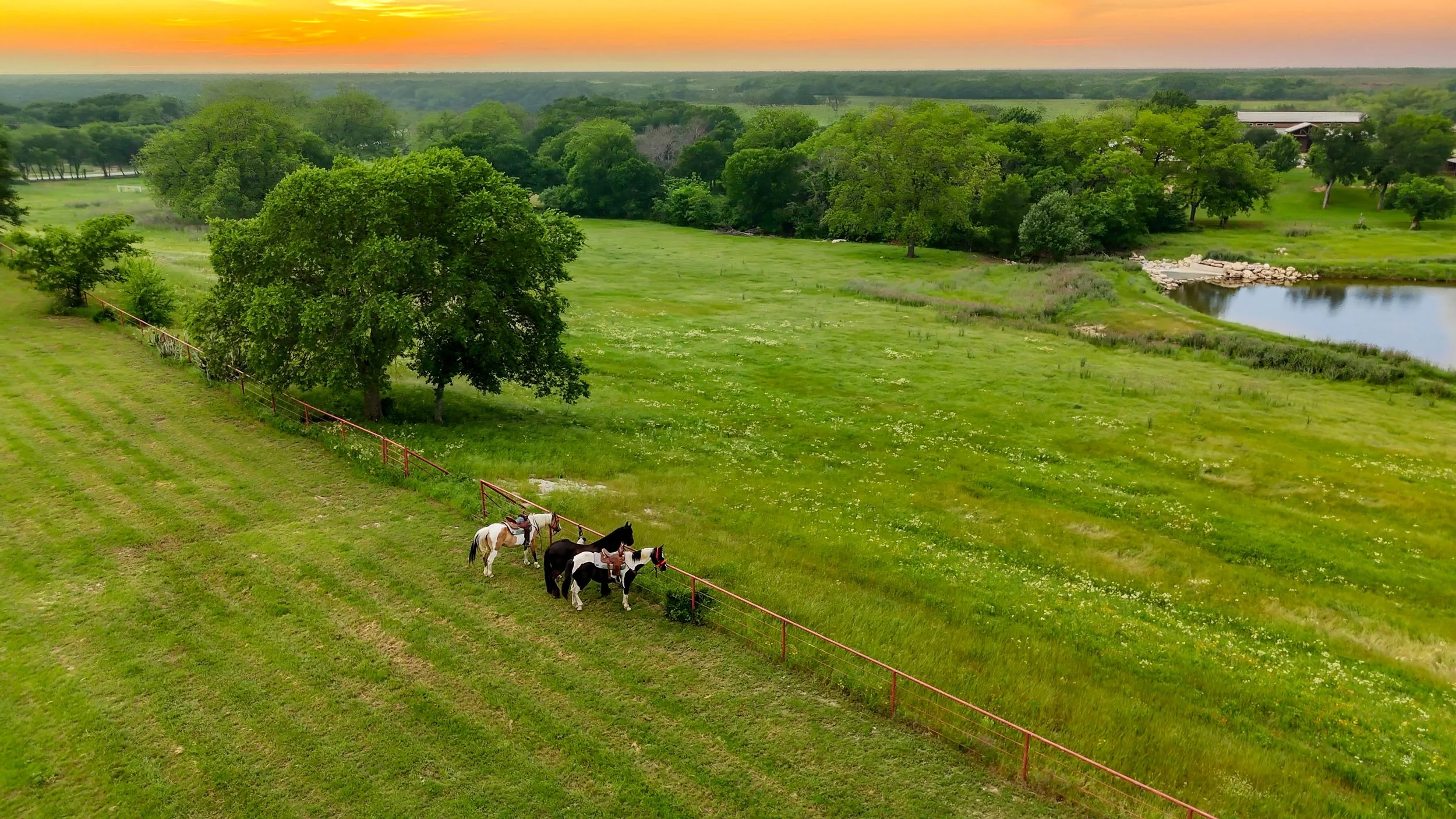 Open grassy field with scattered trees, a small pond, and a horse pasture containing four horses near a red fence, under a sunset sky.