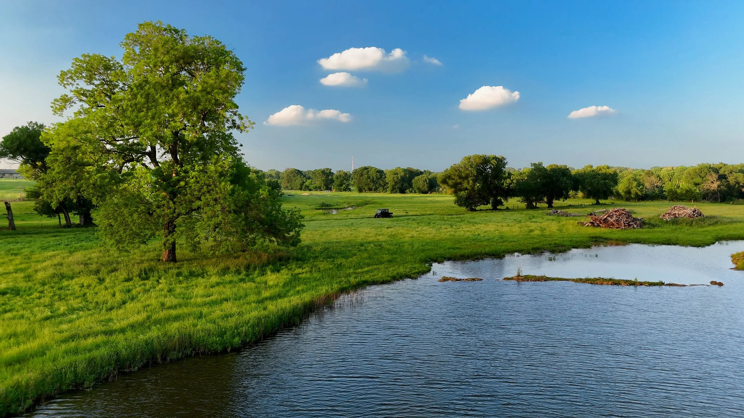 A peaceful landscape featuring a large green tree, a small pond reflecting the sky, grassy fields, and a few piles of wood, under a blue sky with scattered white clouds.