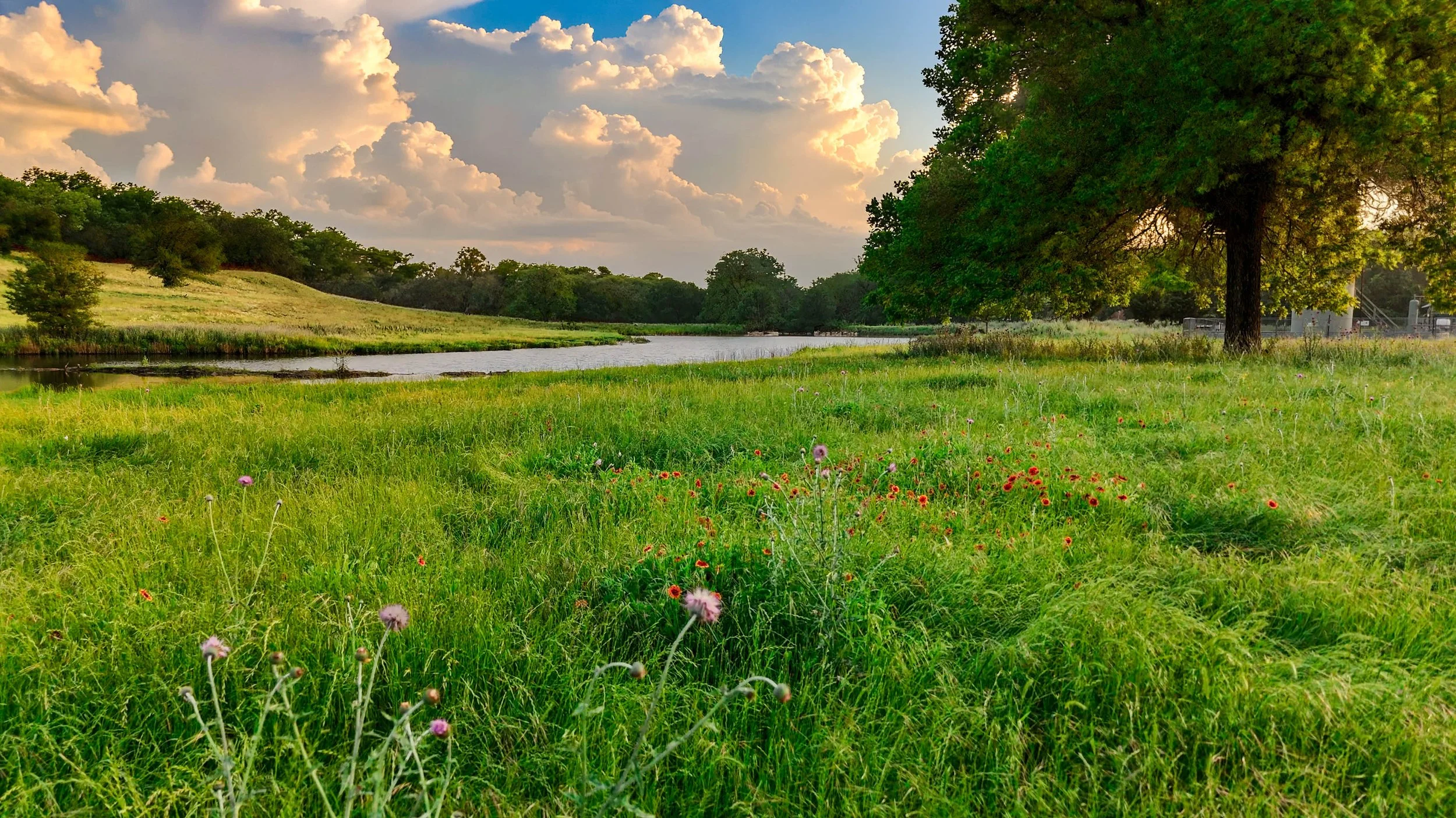 A peaceful landscape with a grassy field, wildflowers, a river, trees, and a partly cloudy sky at sunset.