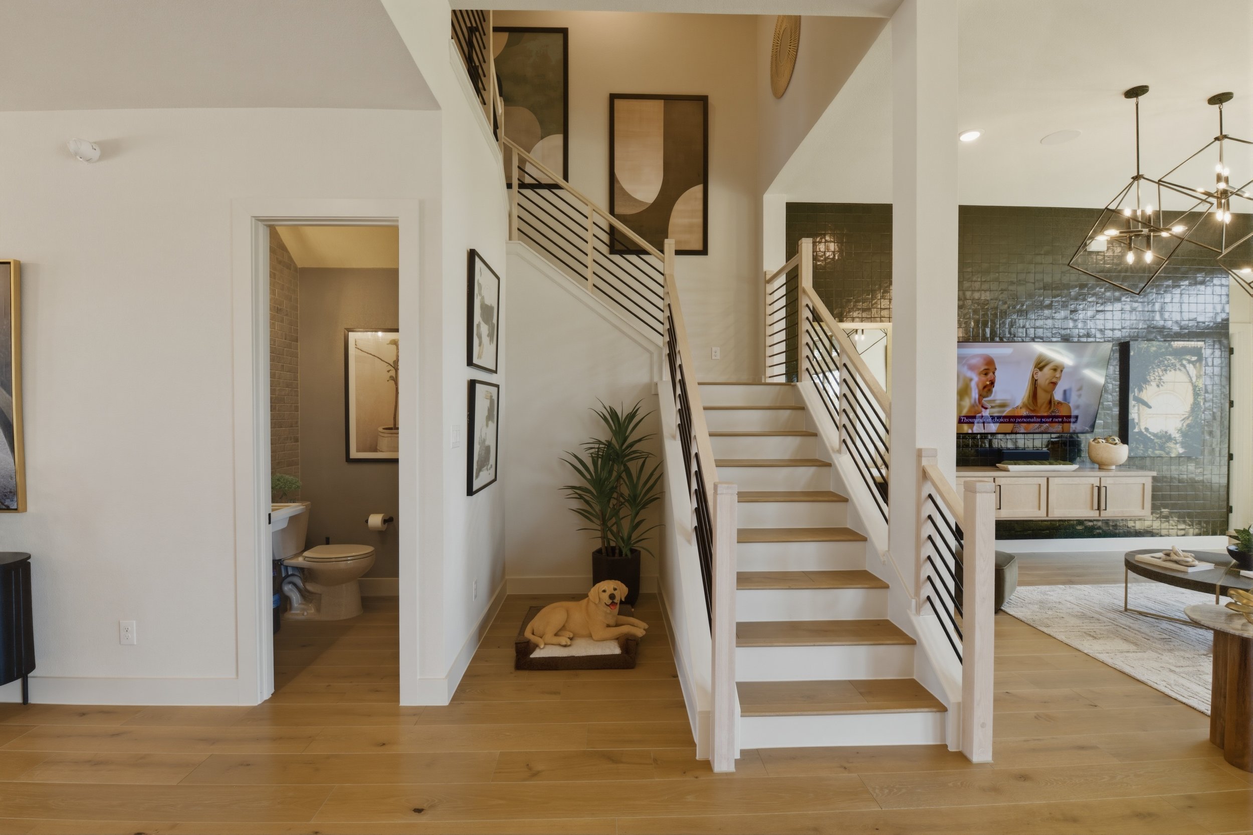 A modern living room with a staircase, a television, a plant, and a dog lying on the floor near the stairs.