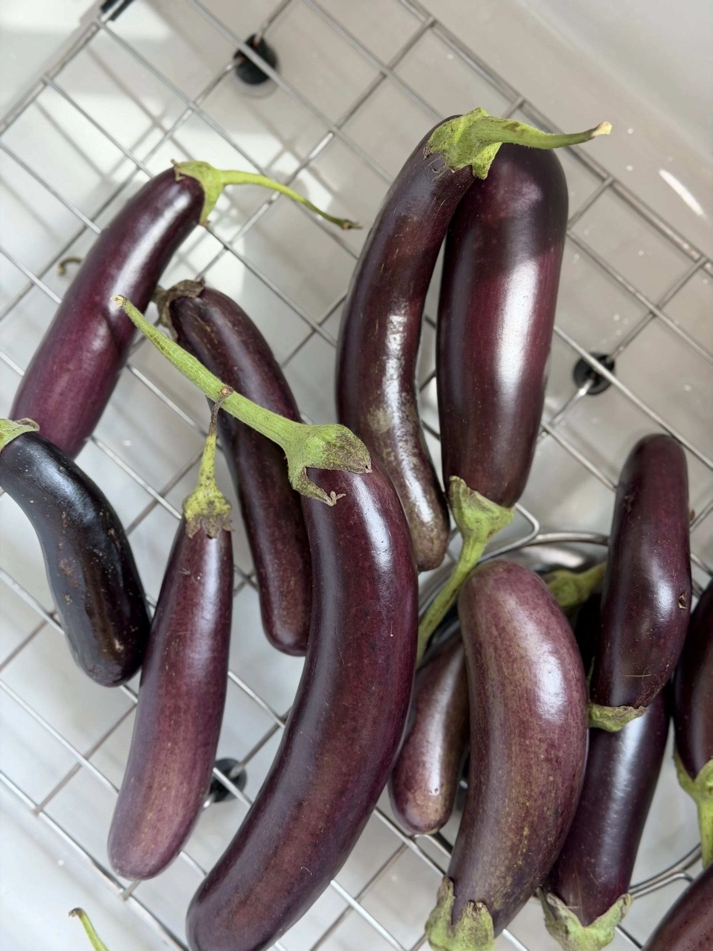 Eggplant Parmigiana