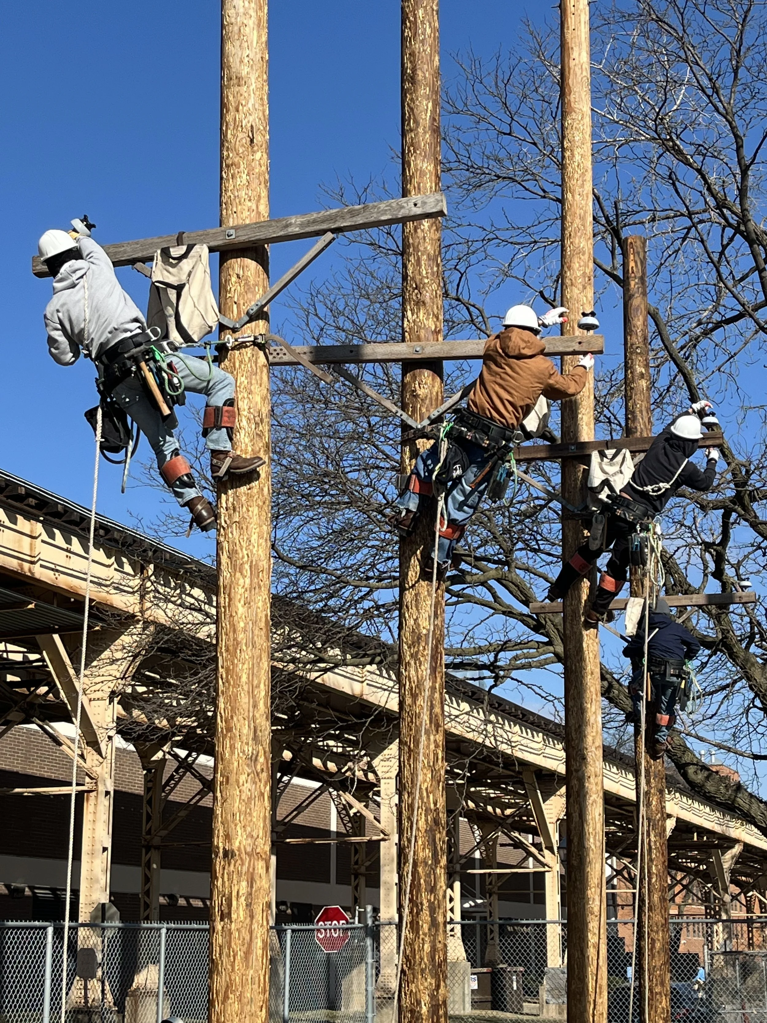 Workers wearing helmets and safety gear are installing large wooden poles and beams on a construction site near a city street, with a fenced perimeter and a building in the background.