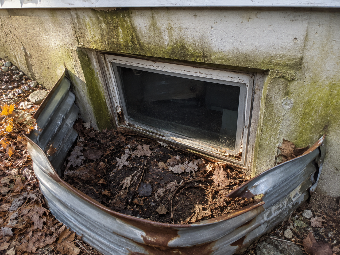 Une fenêtre de sous-sol sale et usée installée dans un mur extérieur, entourée de moisissures et de feuilles mortes, avec un muret en métal rouillé à l'avant.