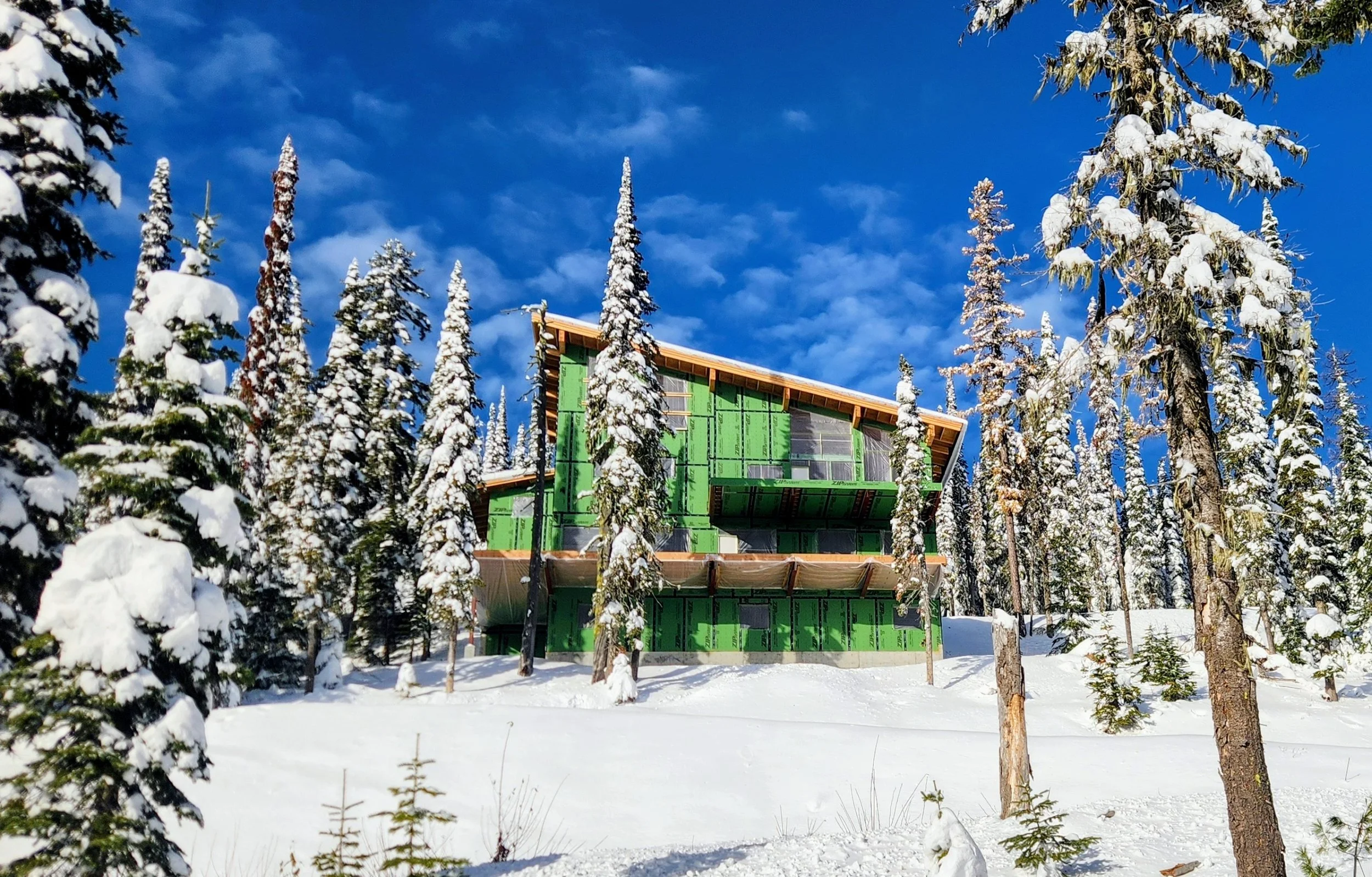 Schweitzer Mountain Custom Build