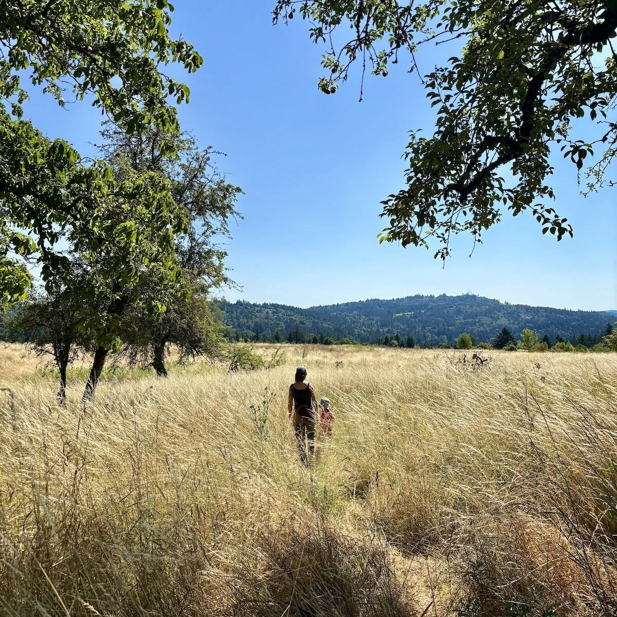 Late Summer / Earth Element  