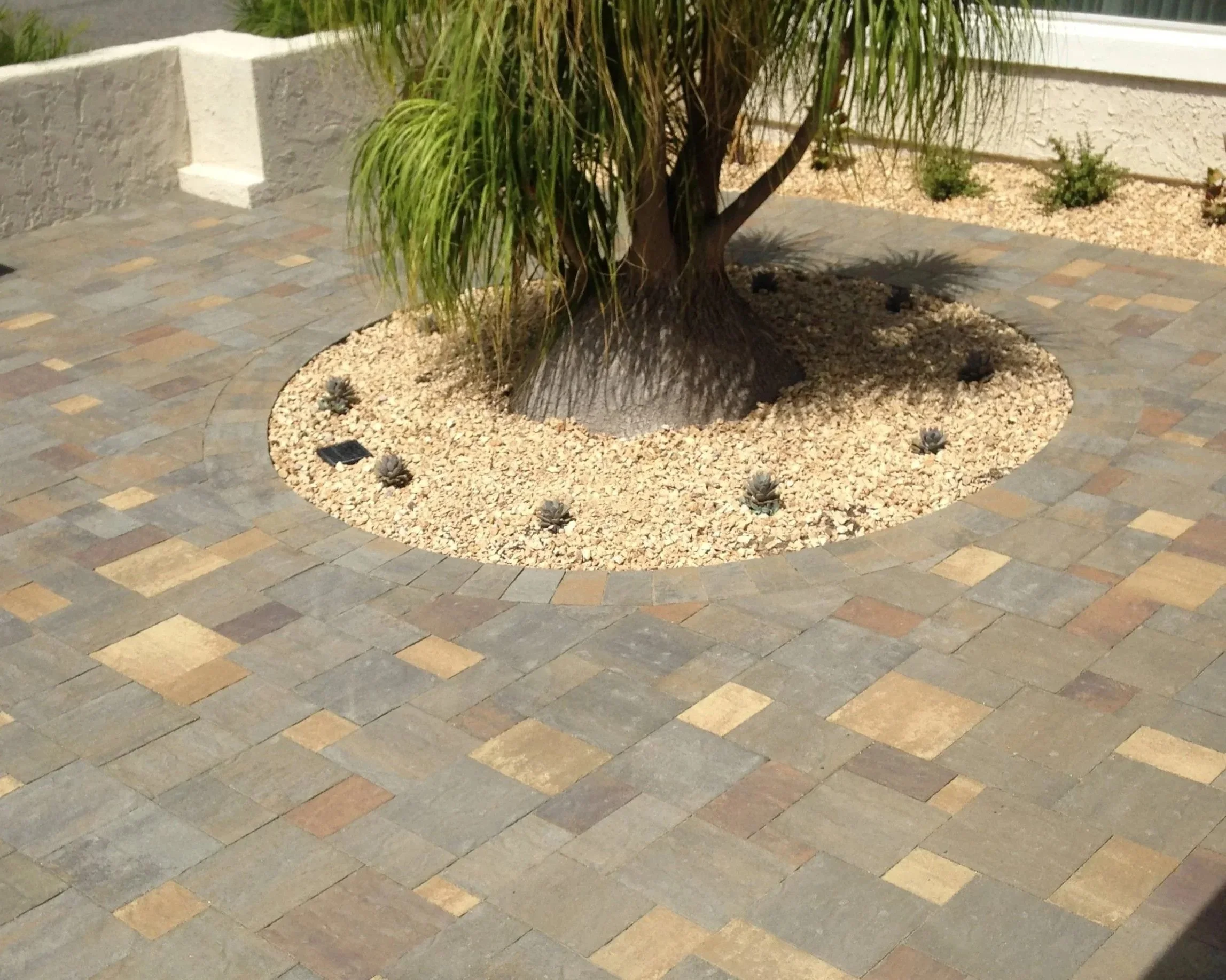 A central tree surrounded by small plants, with a stone border and a patterned brick walkway.