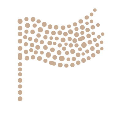 Service Icon for Fractional CMO & Marketing Leadership