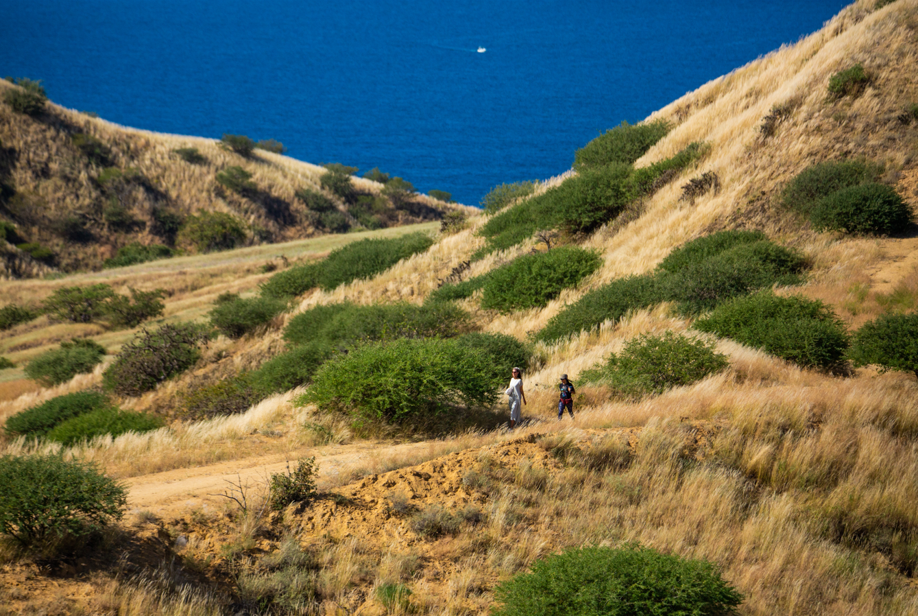 Benguela Hills