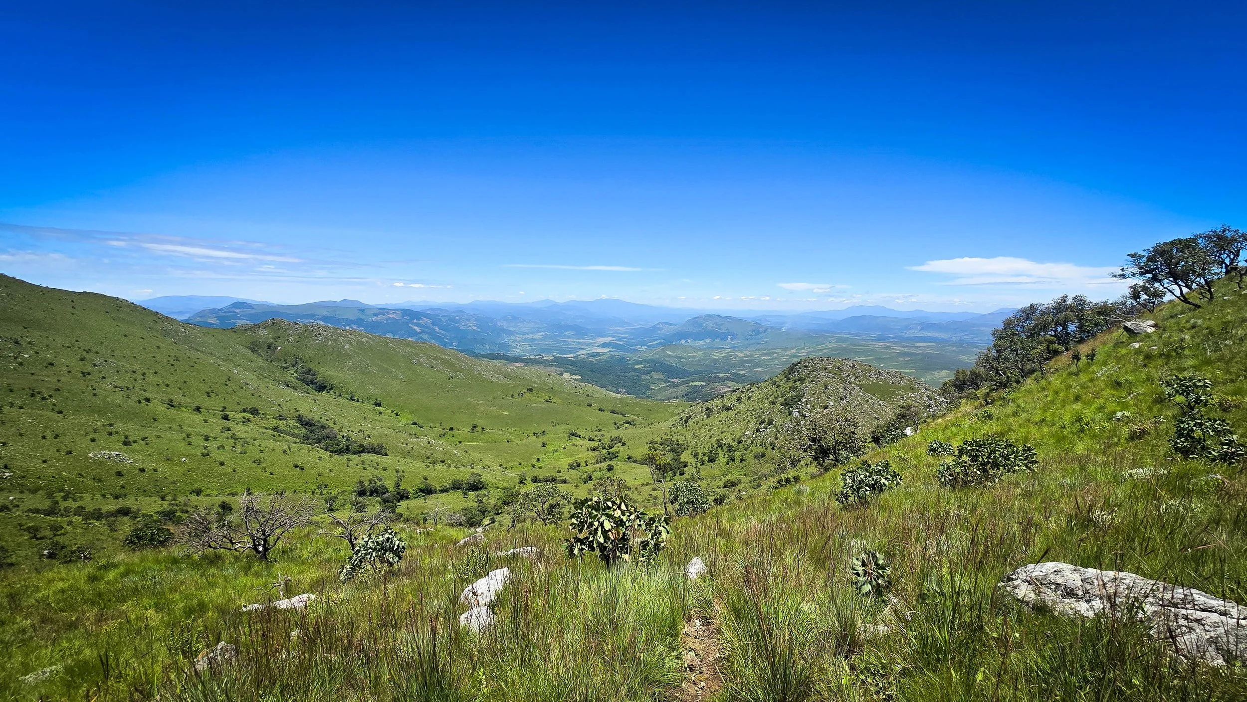 View from top of Mount Moco