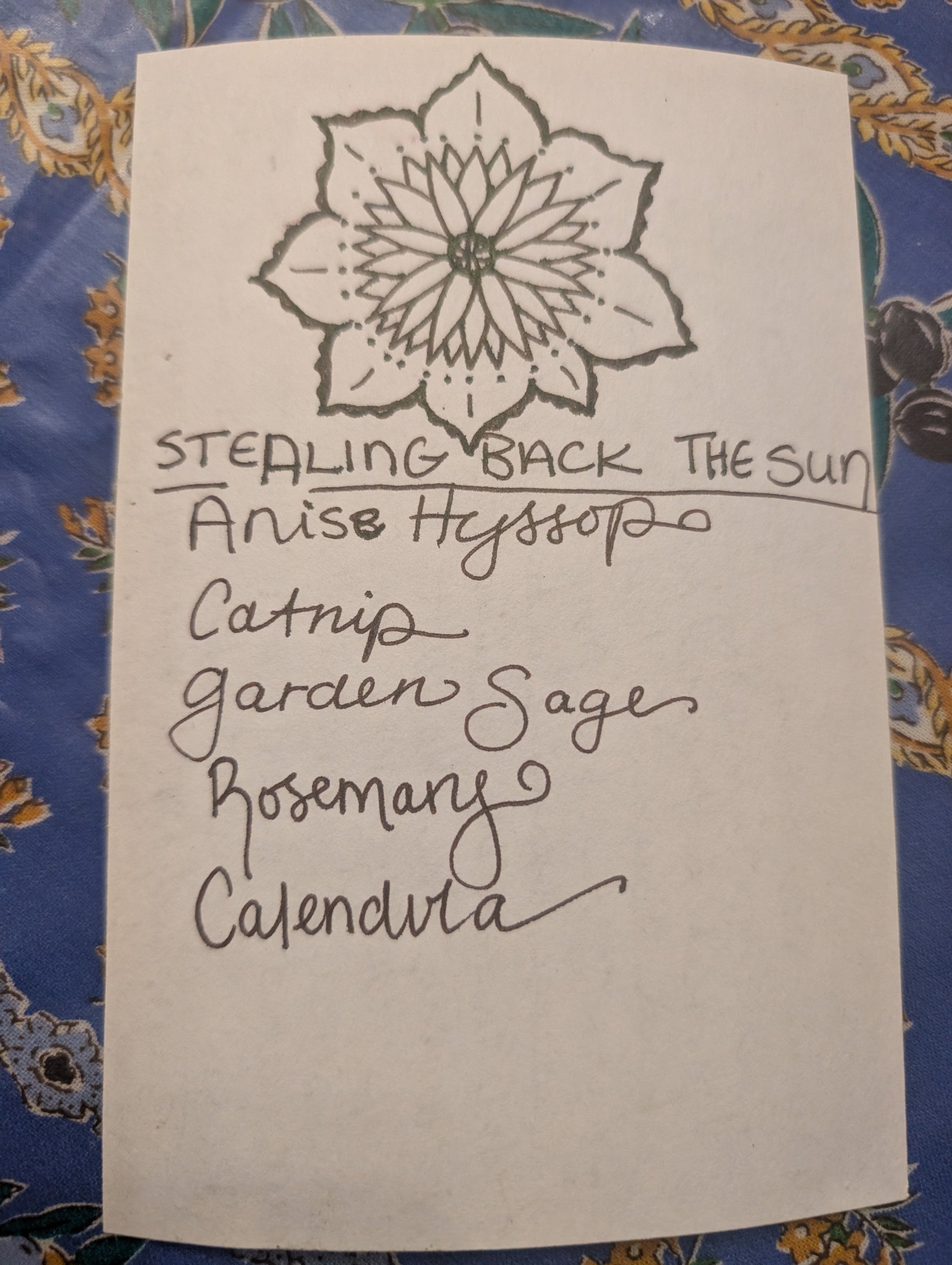 Comprehensive Holistic Intake