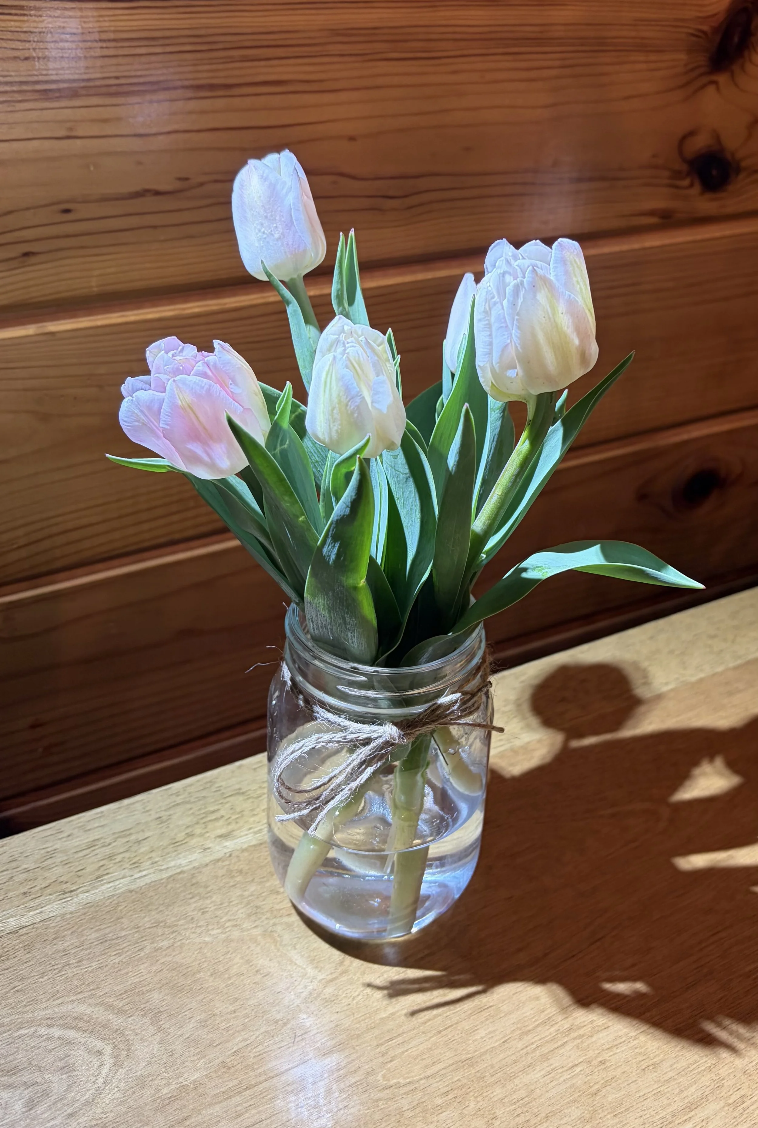 1/2 Dozen Tulips