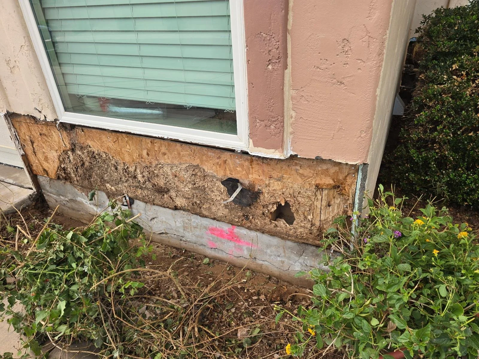 The exterior of a house under repair shows a section of the wall with exposed plywood and damaged wood framing. A window with closed blinds is above the damaged area. The foundation has visible cracks and a pink marking, with plants and bushes in front.