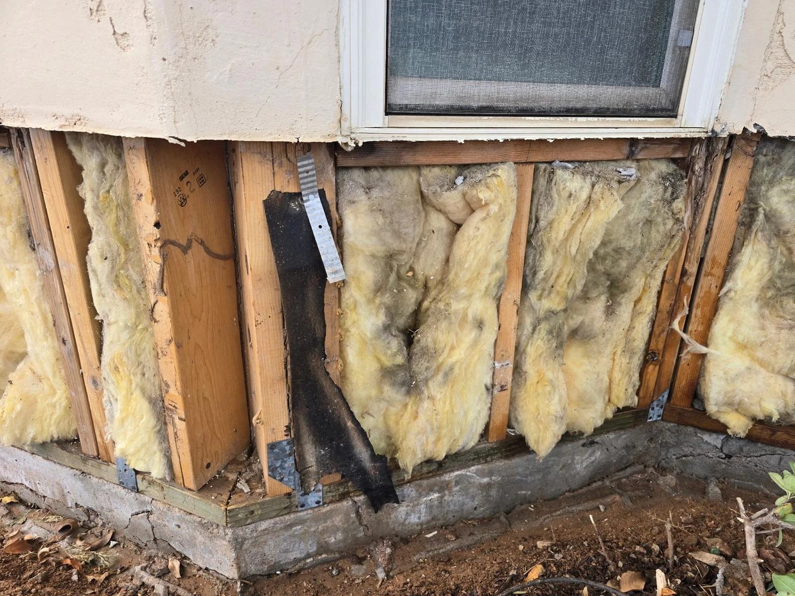 Unfinished house wall showing wooden studs, yellow insulation, and exposed foundation, with a window at the top.