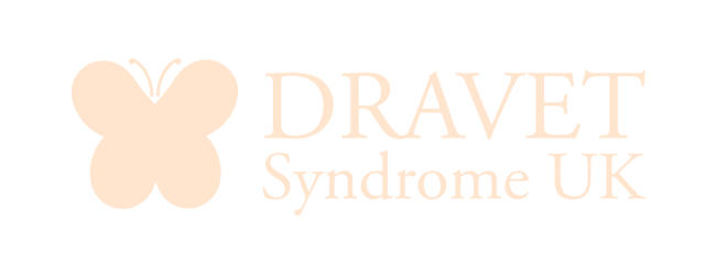 Logo of Dravet Syndrome UK featuring a butterfly graphic and text.
