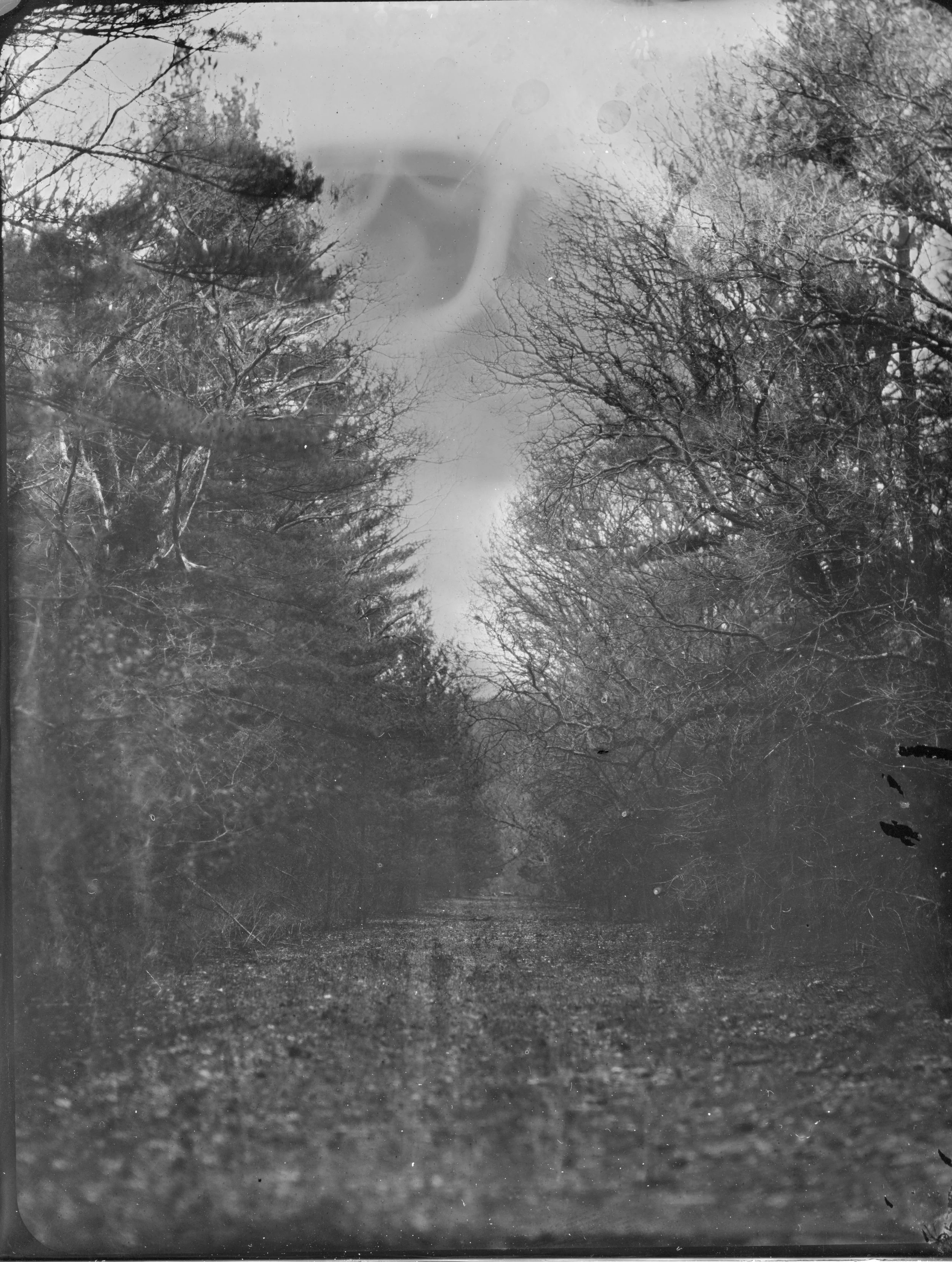 2026-04-08-4x5-Tintype- 8-Edit-eras-sized.jpg
