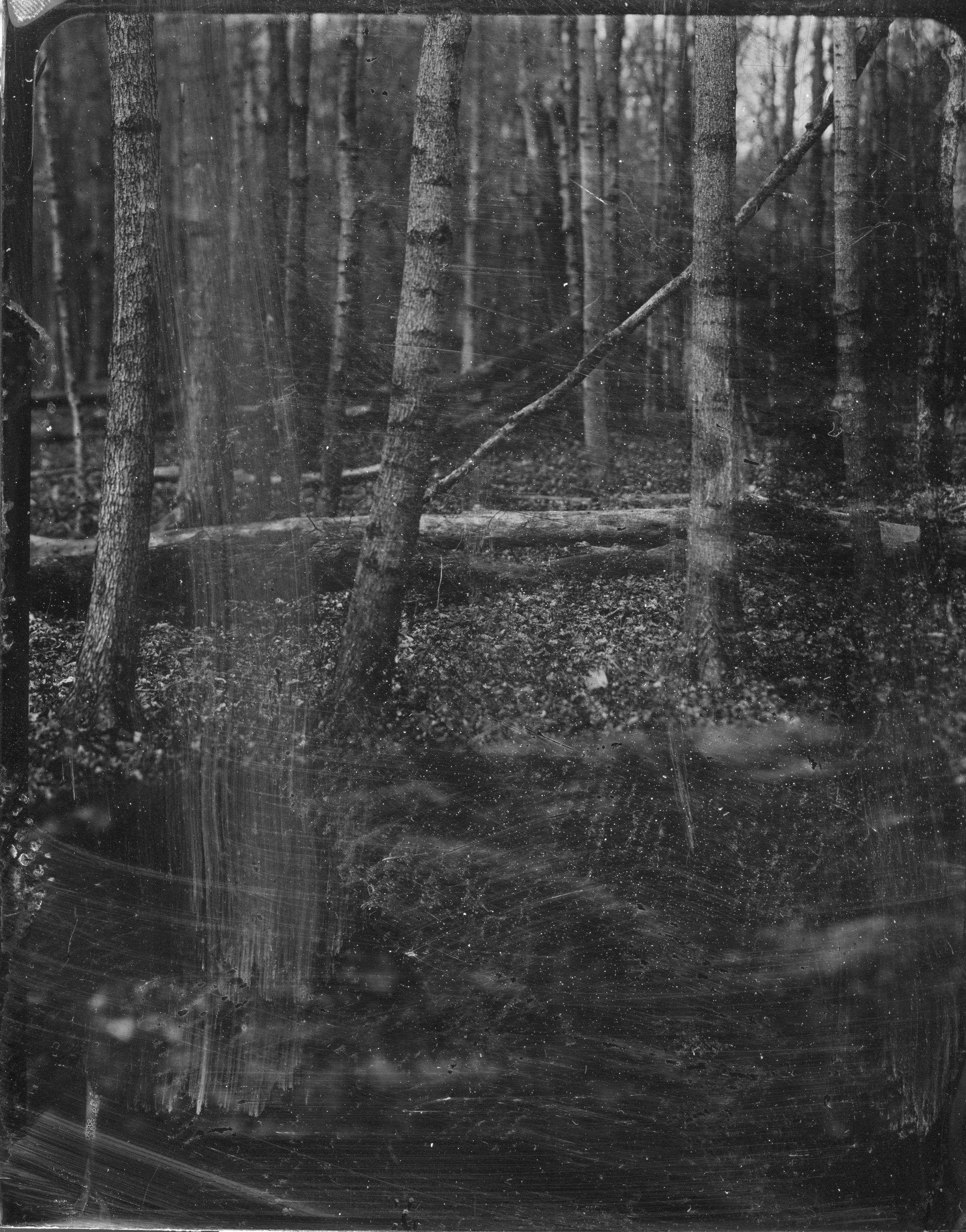 2026-04-08-4x5-Tintype- 1-Edit-eras-sized.jpg